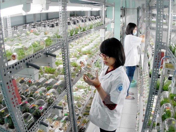 г.Хошимин и американский город Сакраменто сотрудничают в подготовке людских ресурсов